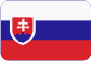 Institut pro integraci České republiky do Evropské unie Slovensky